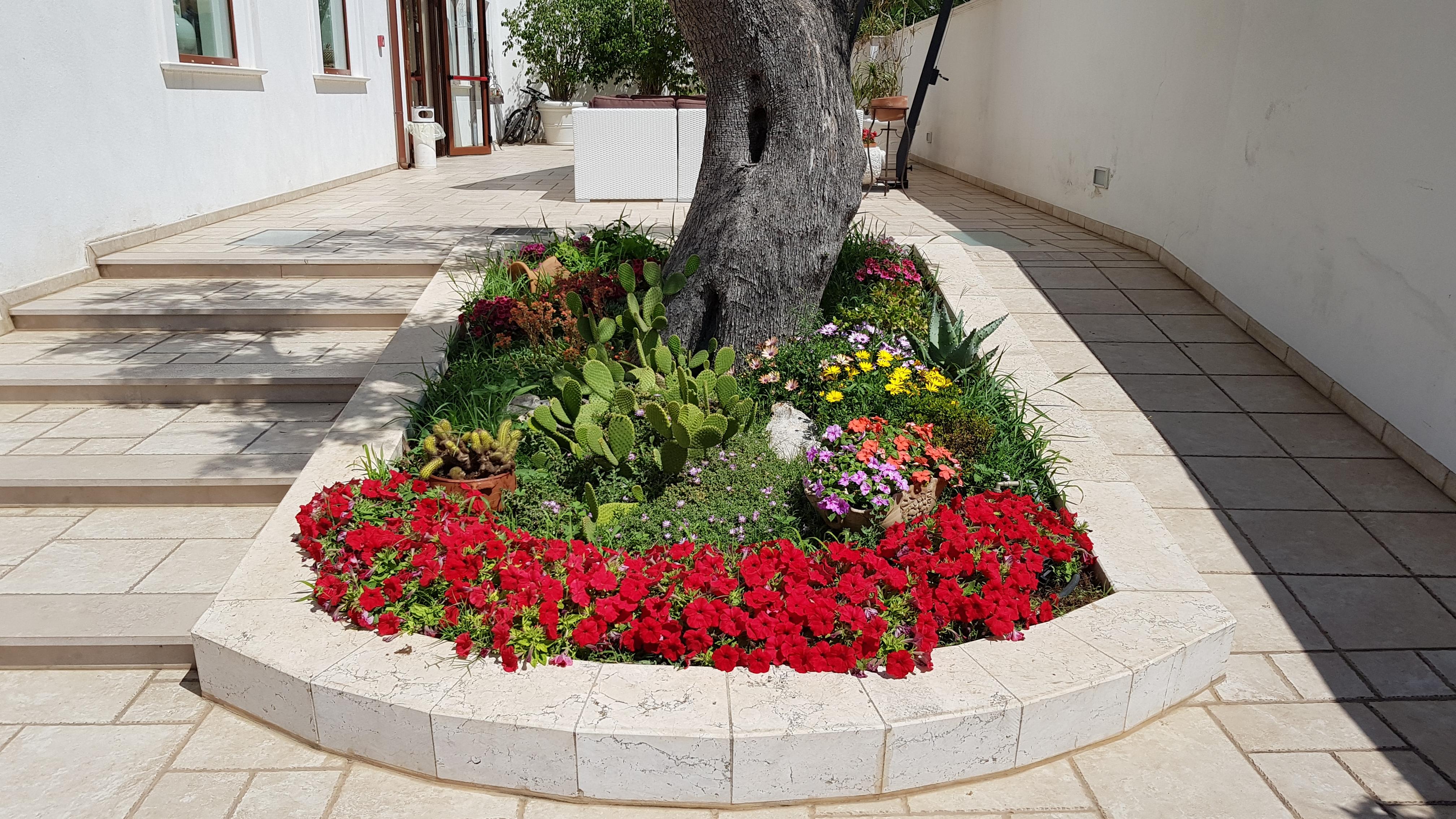 Hotel Victoria Torre Santa Sabina Exterior photo
